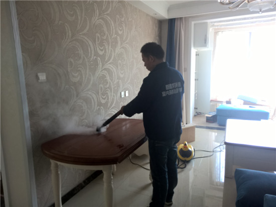 高溫熏蒸熱解 高溫熏蒸熱解