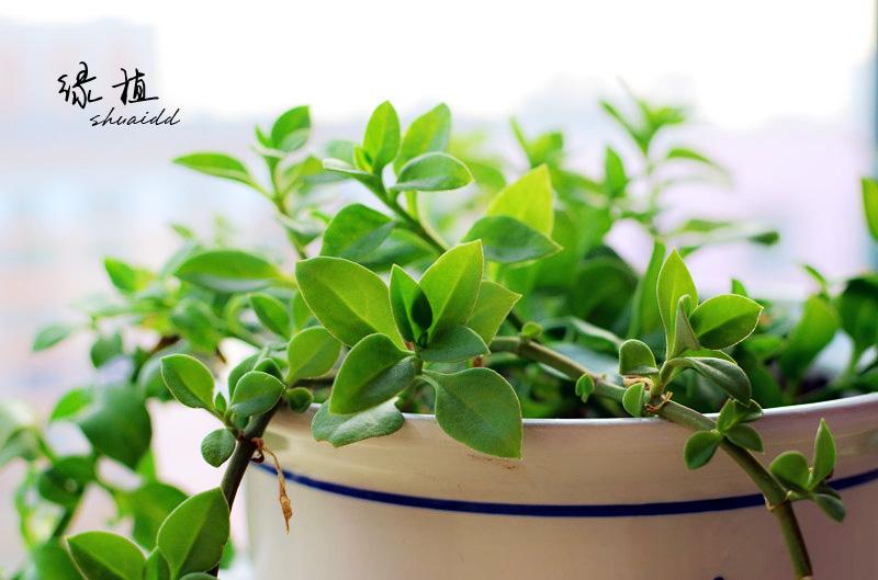 timg (5).jpg timg (5).jpg